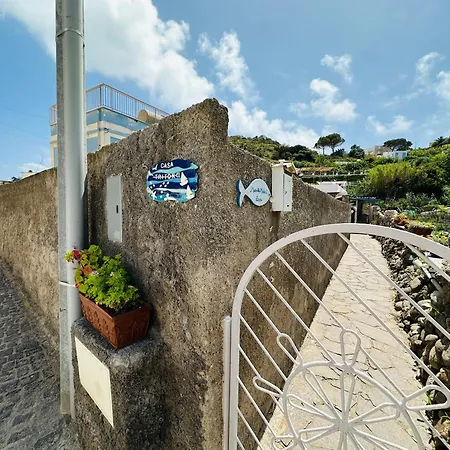 Tritone - Immobilevante Penzion Ponza